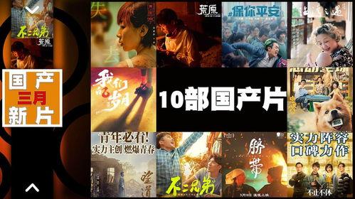 国产三级影院,揭秘隐秘的观影世界